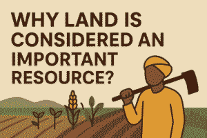 Why Land is Considered an Important Resource Uses & Importance